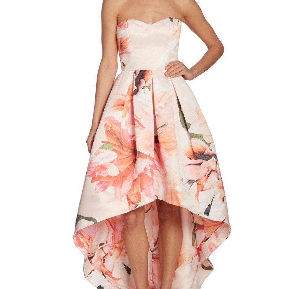 Parker Roxanne High Low Dress Size 2 NWT